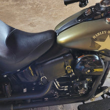 Load image into Gallery viewer, Heat shield for Harley Davidson, Two Pouches - Custom Art, Black