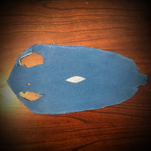 Load image into Gallery viewer, Apple Watch Band, Blue Stingray