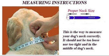 Load image into Gallery viewer, Dog Collar with Genuine Brown Alligator leather